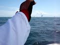 Veleiro Artemis na Regata Aratu Maragogipe