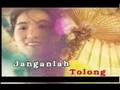 Ketipang Payung