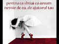 memoriile unui ingerash
