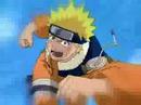Naruto vs Neji (Tiger)