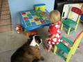 videos de Annika feeds Buttercup