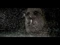 Takida Was It I? Video and Lyrics