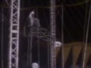 el circo