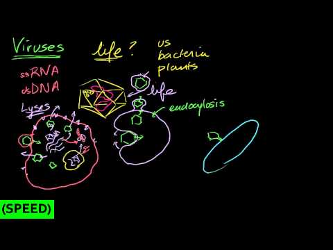 how to dissolve adenosine