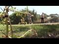 videos de The Great Embrace