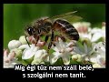 Tégy foglyodá Uram ! Tégy foglyodá Uram !