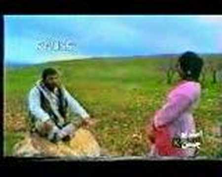 See video See video