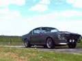 Eleanor Mustang