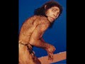 Bass.T.O.R.M. - Caveman