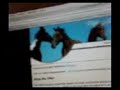 How to edit and print out a website