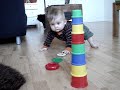Tomke spielt