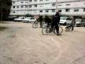videos de P'tit délire en vélo !!