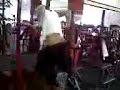 135lbs plate dips