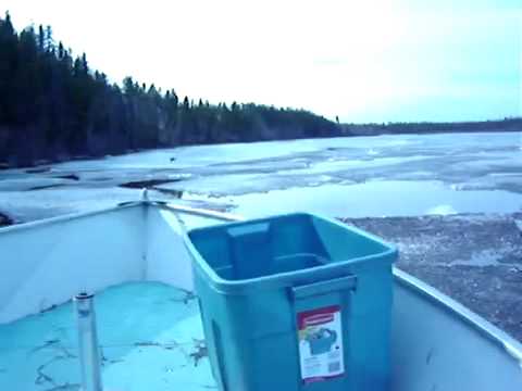 canadian fly in fishing trip