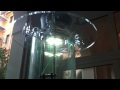 Guarda il video