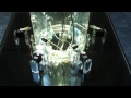 Guarda il video Guarda il video