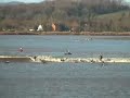 Surfing the River Severn Bore Surfing the River Severn Bore