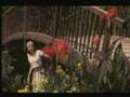  - MovieZen Video