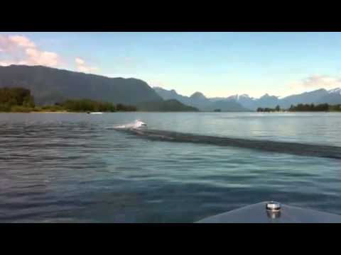 Venom Strait Jacket Petrol Boat