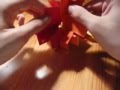 Origami octahedral cross by Tung Ken Lam