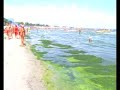 litoral-romanesc