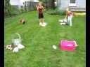 Teaching with Technology: Webkinz Olympics Activities