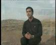 باغبان یاس ها iman abedi