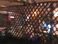 Malwari & Dera , restaurant,Punjab, Lahore, Pakistan