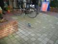 videos de Leer