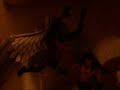 Marvel Legends collection