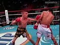 Best UFC, Boxing, and Kick Boxing Knockouts