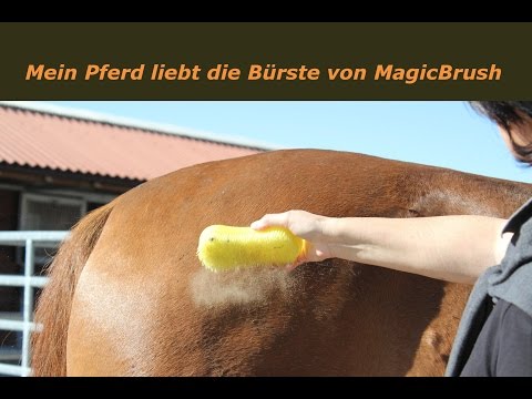 MagicBrush, die super geniale Pferdebürste