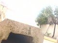rata en mi casa
