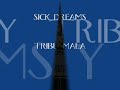 tribu mala - barrio chino (vivo)