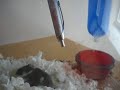 cutewithchris pens b!tch