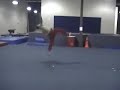 Gainer switch to gainer full-twist Gainer switch to gainer full-twist