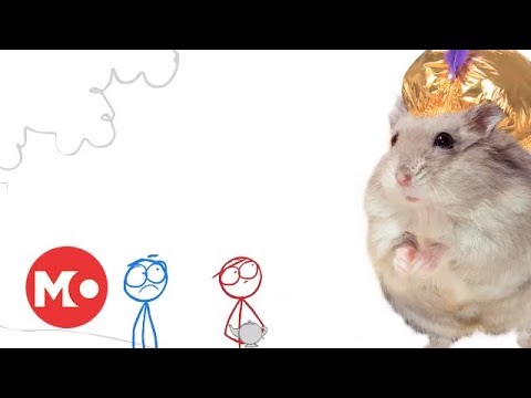 butt - Watch the latest Larva episode