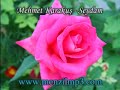 Menzil Ilahileri 2 - Mehmet Karaku? - Seydam Menzil Ilahileri 2 - Mehmet Karaku? - Seydam