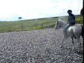 Reiten 25. August 08
