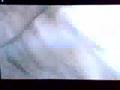 Time Crisis 4 - Wild Fang Intro
