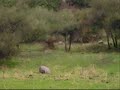 Airsoft: Farellones 3