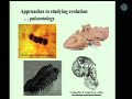Evolution in Action: A 50,000 Generation Experiment