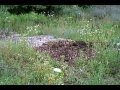 Ben personal video
