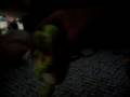 videos de l s b d episode 331 seaon 6 episode 17