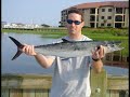 Topsail Island Fishing Charters VIDEO, King Mackerel