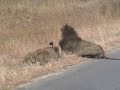 Zuid-Afrika 2008