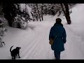 Click here to watch this video Yaku liebt Tiefschnee