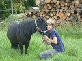 Mein süßes Pony Micky Maus