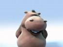 Hippo