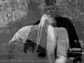 ВОЙ : РС39
